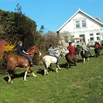 Farm Hof Auf Der Wurp 팜스테이