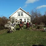 Farm Hof Auf Der Wurp Farma Harrierwurp