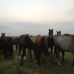 Alojamento de Turismo Rural Farm Hof Auf Der Wurp *