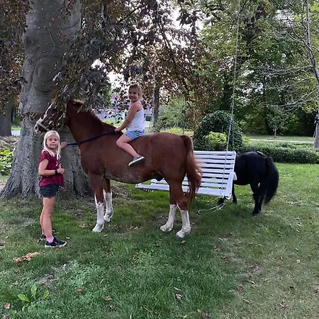 Farm Hof Auf Der Wurp * Harrierwurp