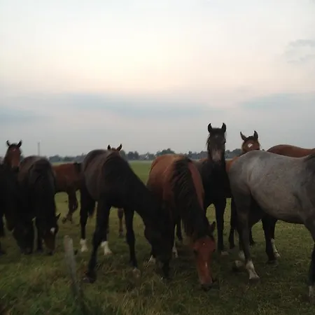 Фермерский дом Farm Hof Auf Der Wurp *