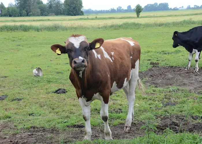 Agroturismo Farm Hof Auf Der Wurp *